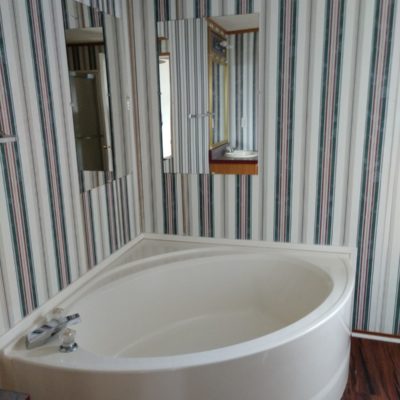 Master Bath Tub